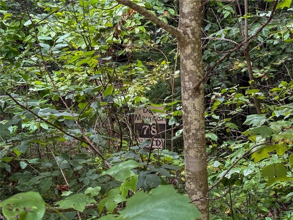 000 Antler Drive, Mcgrady, NC 28649
