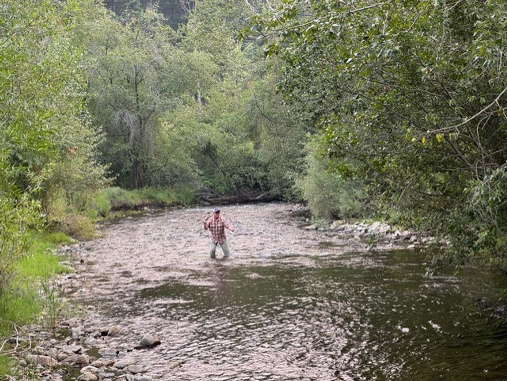 1307 Skalkaho Hwy, Hamilton, MT 59840