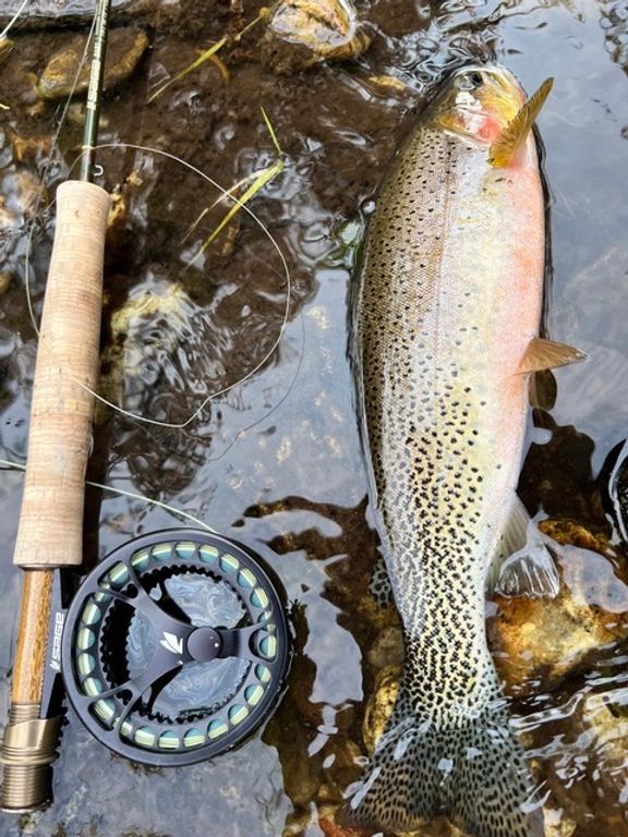 1307 Skalkaho Hwy, Hamilton, MT 59840 photo 2