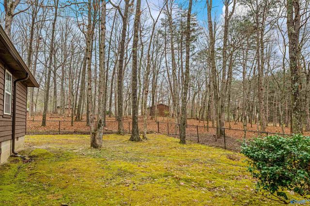 611-1 Cove Road, Mentone, AL 35984