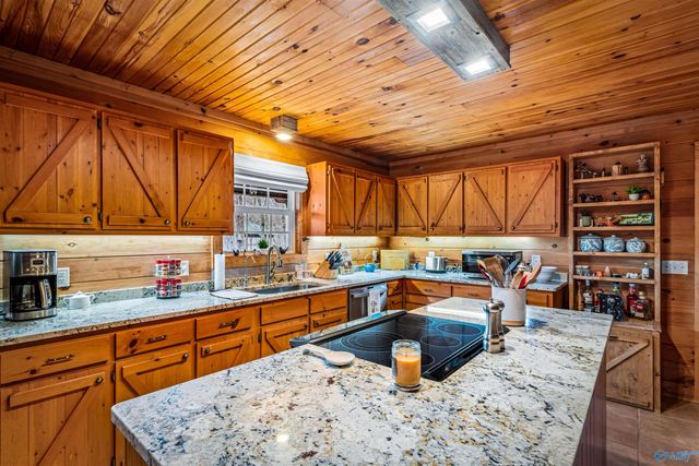 611-1 Cove Road, Mentone, AL 35984