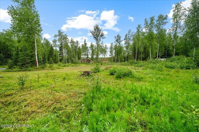 781 N Tammy Lane, Wasilla, AK 99623