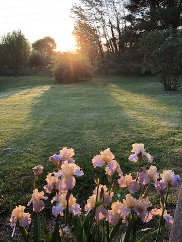 2771 Hillbrook DR, Roanoke, VA 24018