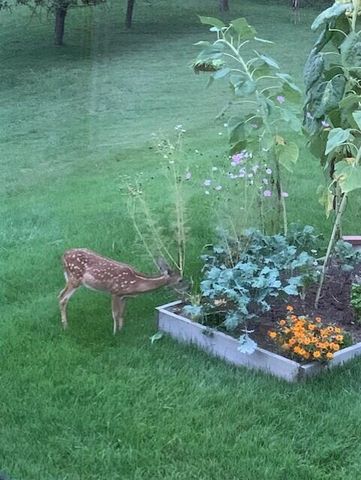 2771 Hillbrook DR, Roanoke, VA 24018