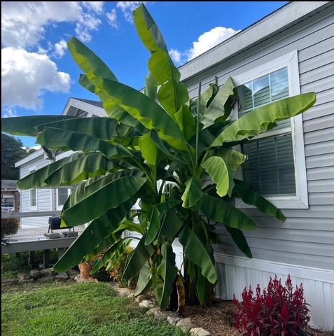 552 D Anders Road, London, KY 40744