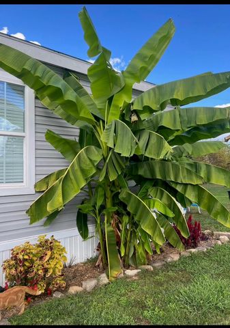 552 D Anders Road, London, KY 40744