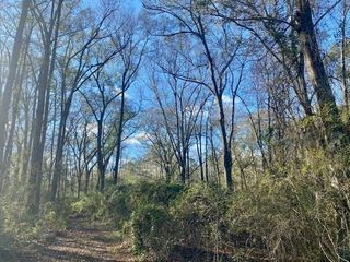 0 Morgantown Road, Mccomb, MS 39648