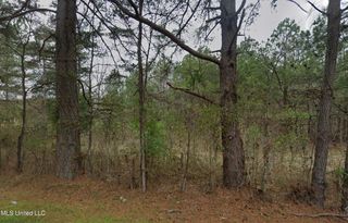 Sleepy Hollow Road, Terry, MS 39170