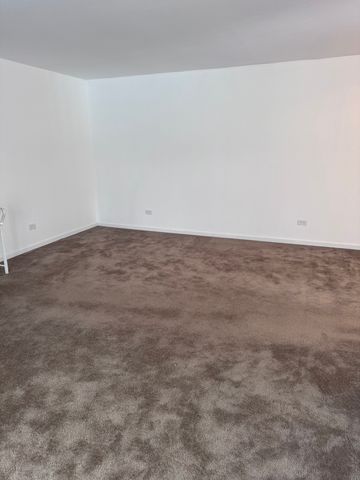 2439 Brunswick Circle C, Woodridge, IL 60517