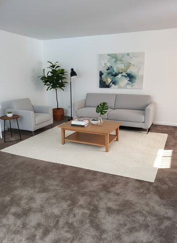 2439 Brunswick Circle C, Woodridge, IL 60517