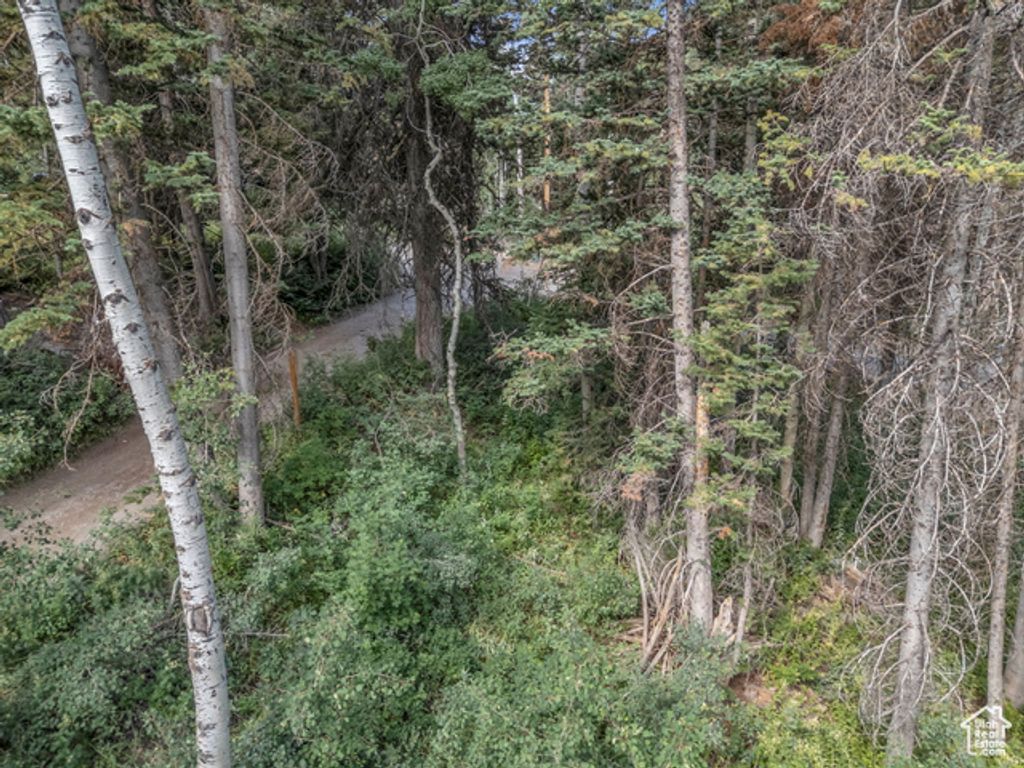 Image 16 of property listing at 9281 E FOX HAVEN LN, Brighton, UT 84121