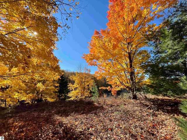 3037 Dockery Road, Nw, Williamsburg, MI 49690