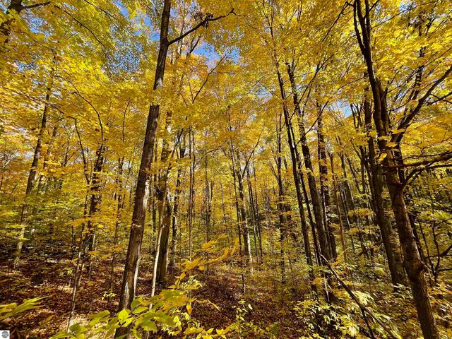 3037 Dockery Road, Nw, Williamsburg, MI 49690