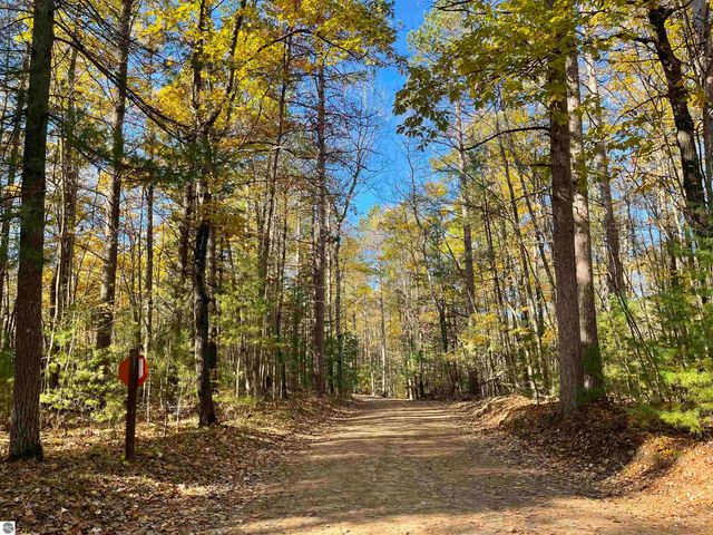 3037 Dockery Road, Nw, Williamsburg, MI 49690