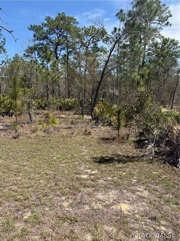 4710 W Mustang Boulevard, Beverly Hills, FL 34465