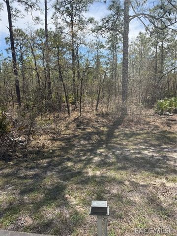 4710 W Mustang Boulevard, Beverly Hills, FL 34465