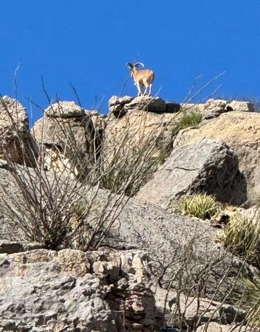 10 Kangaroo Mouse Rd, Terlingua, TX 79852