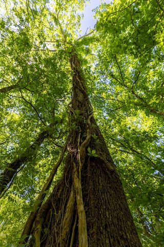 113 Kahuku CT, Bastrop, TX 78602