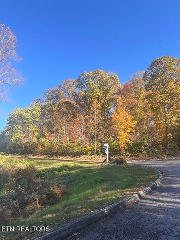 Anchor Lane, Andersonville, TN 37705