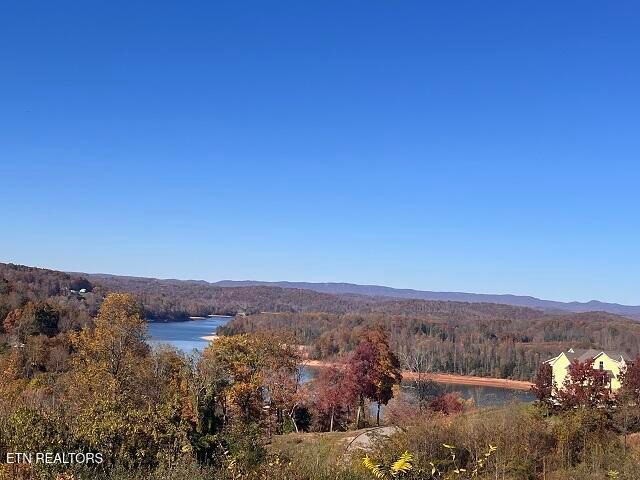 Anchor Lane, Andersonville, TN 37705