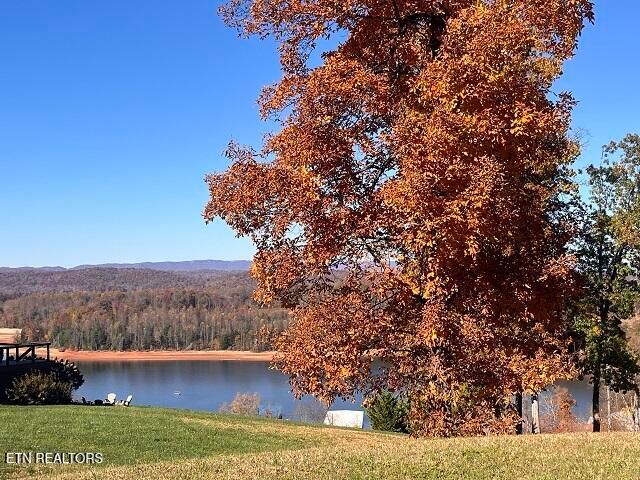 Anchor Lane, Andersonville, TN 37705