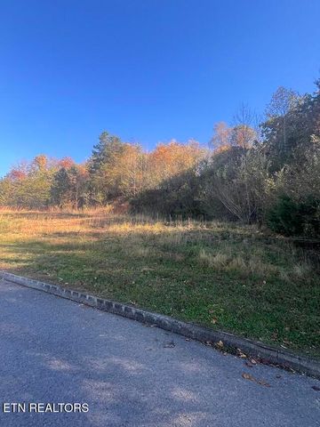 Anchor Lane, Andersonville, TN 37705