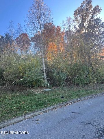 Anchor Lane, Andersonville, TN 37705