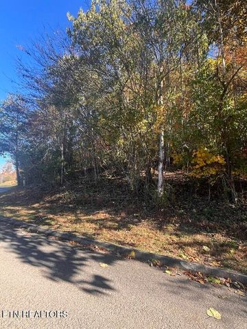 Anchor Lane, Andersonville, TN 37705