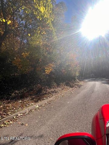 Anchor Lane, Andersonville, TN 37705