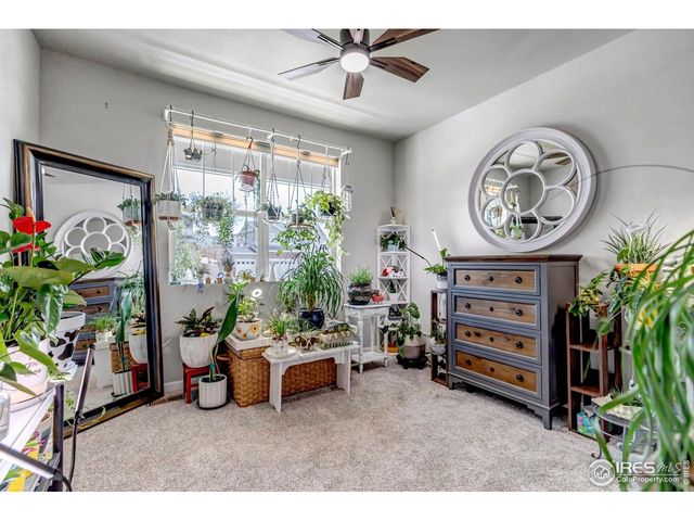 397 Cameron St, Johnstown, CO 80534