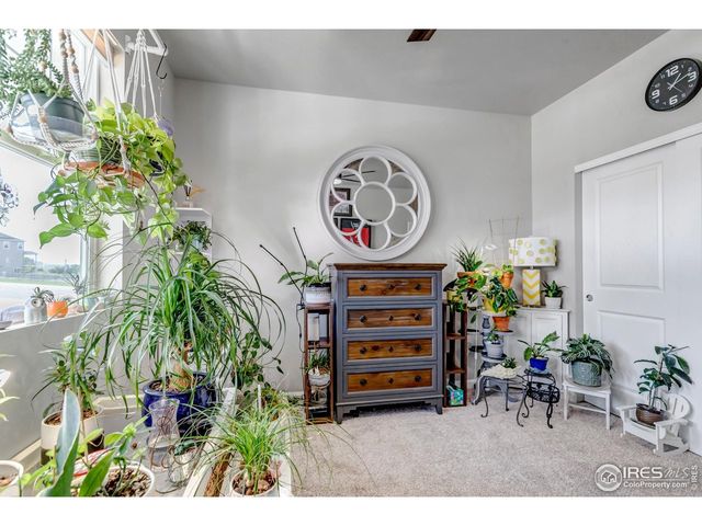 397 Cameron St, Johnstown, CO 80534