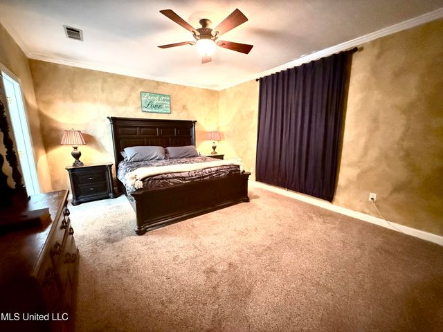 196 Woodlands Green Drive, Brandon, MS 39047