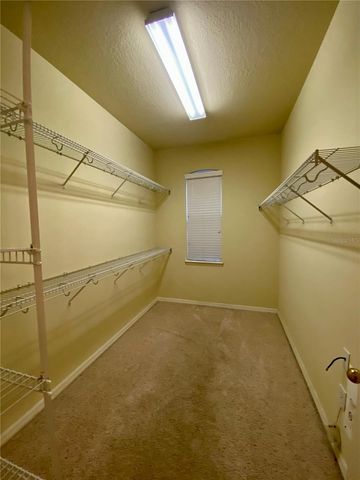 6610 PORTLAND OAK COURT, Tampa, FL 33647