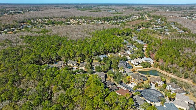 6610 PORTLAND OAK COURT, Tampa, FL 33647