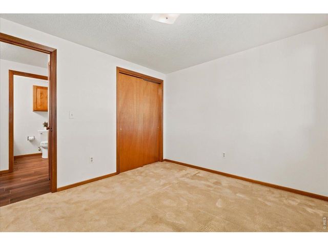 4891 Filbert Dr, Loveland, CO 80538