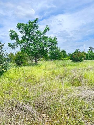 136A Wild Bird LOOP, Smithville, TX 78957