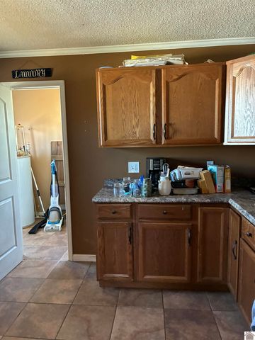 4695 Wadesboro Rd. S, Benton, KY 42025