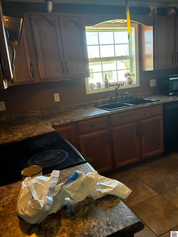 4695 Wadesboro Rd. S, Benton, KY 42025