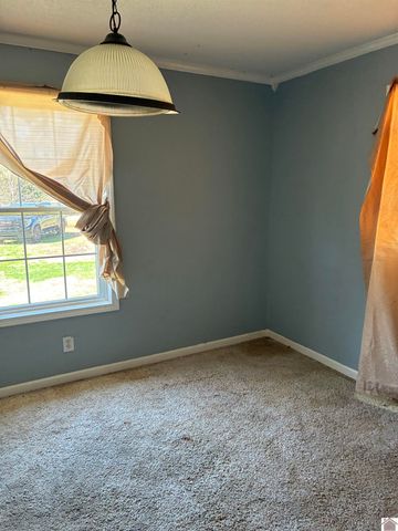 4695 Wadesboro Rd. S, Benton, KY 42025