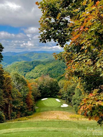 302 Eagles Nest Court S, Mars Hill, NC 28754