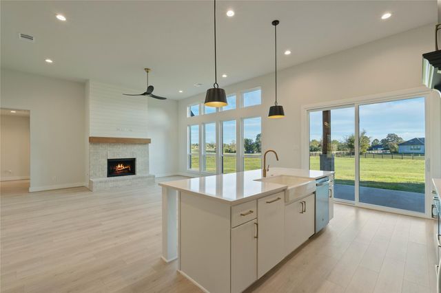 25231 Pleasant Retreat Court, Montgomery, TX 77356