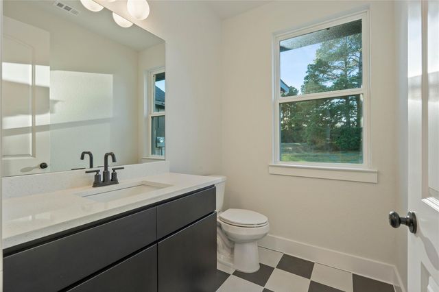 25231 Pleasant Retreat Court, Montgomery, TX 77356