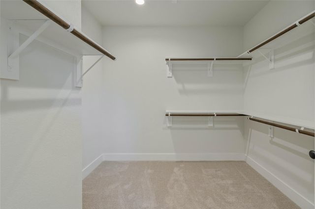 25231 Pleasant Retreat Court, Montgomery, TX 77356