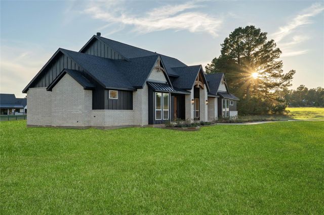 25231 Pleasant Retreat Court, Montgomery, TX 77356