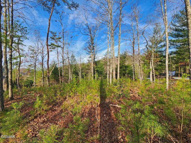 3 Mountain Ash Way, Sevierville, TN 37876