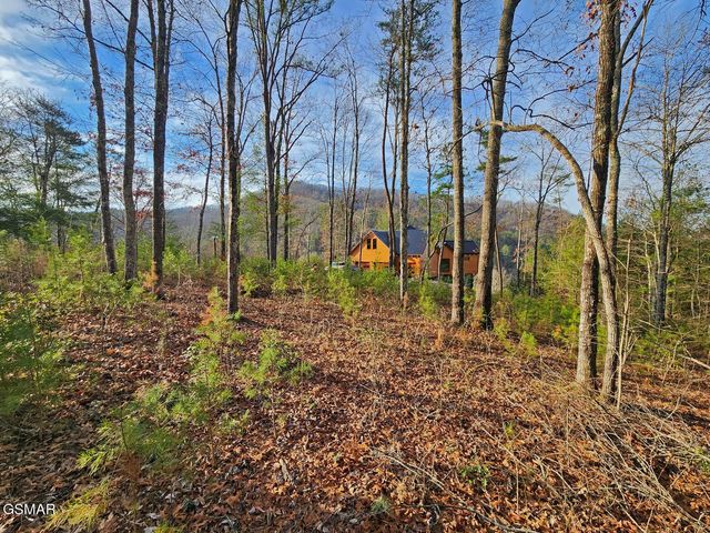 3 Mountain Ash Way, Sevierville, TN 37876