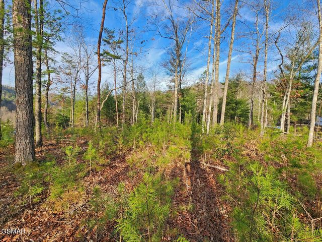 3 Mountain Ash Way, Sevierville, TN 37876