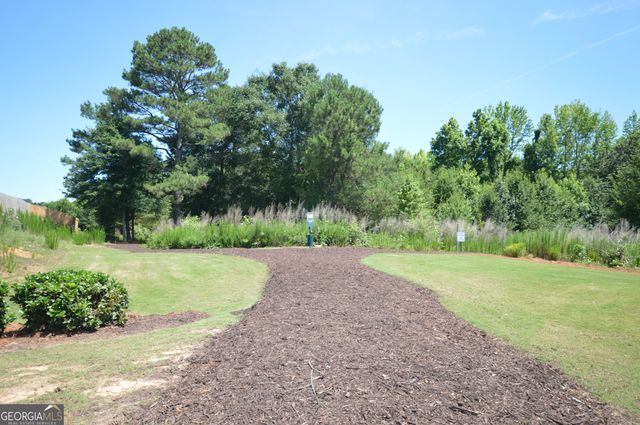 891 Feldman Chase, Loganville, GA 30052