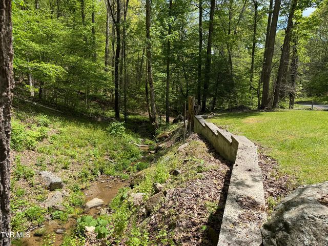 372 Ingram Branch Road, Roan Mountain, TN 37687