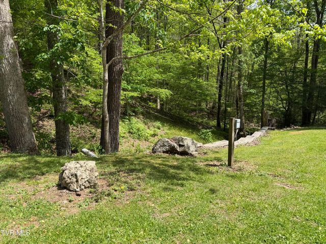372 Ingram Branch Road, Roan Mountain, TN 37687